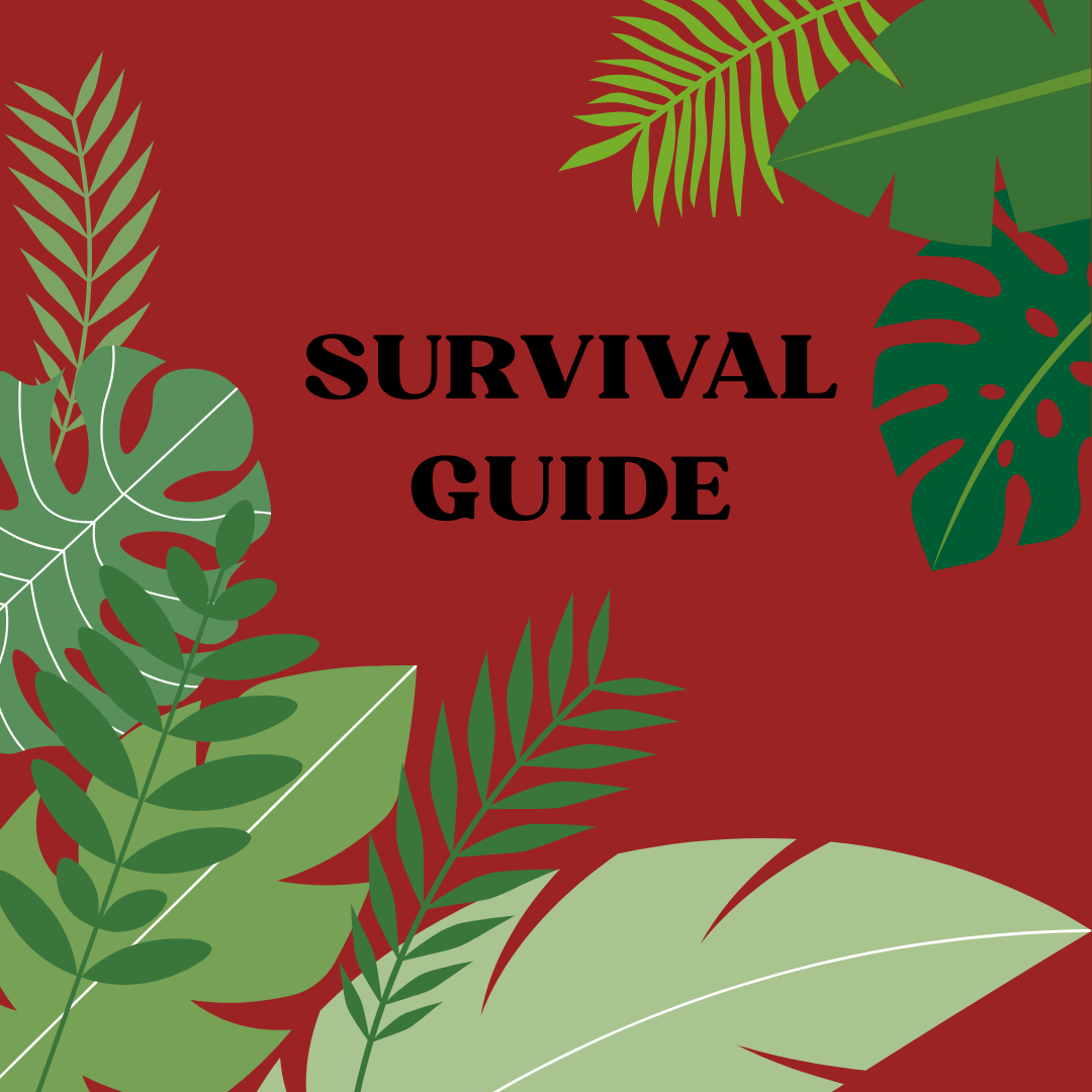 Managing Your Motivation During Your PhD: A Survival Guide